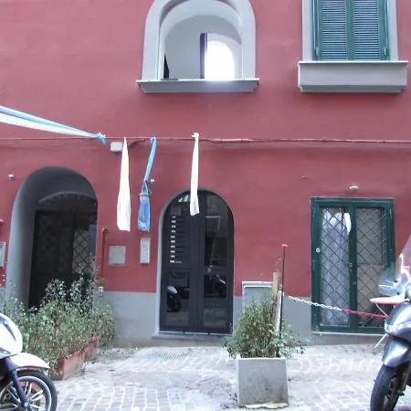 Enzo Home-2